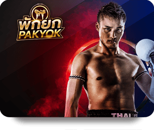โปรโมชั่นพิเศษจาก Kingkongxo เว็บหลัก ที่คุณไม่ควรพลาด